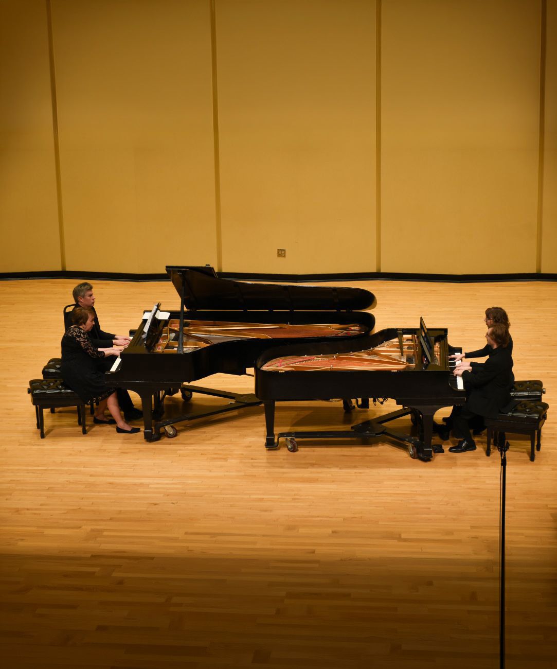 March 17 D'Angelo Faculty Recital