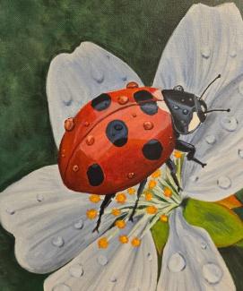 2027 Patricia S. Yahn Juried Student Art Show teaser